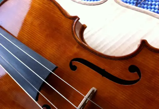 NBYO receives new instruments thanks to large donation