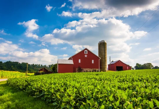 New program to help farmers afford land