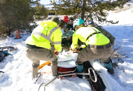 Queens Search and Rescue launches urgent appeal for volunteers