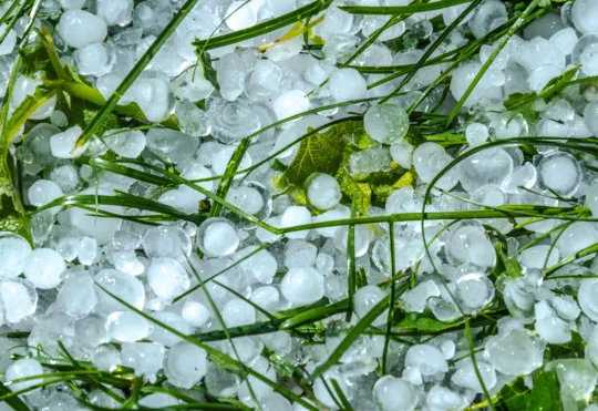 Heavy rain, winds and hail hit Southeastern N.B.