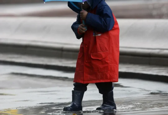 Wet and windy weather forecast for Halloween in N.B.