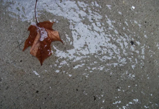 Rainfall warning for Halifax, western N.S.