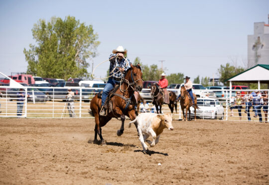 Nova Scotia Stampede won’t return for third year