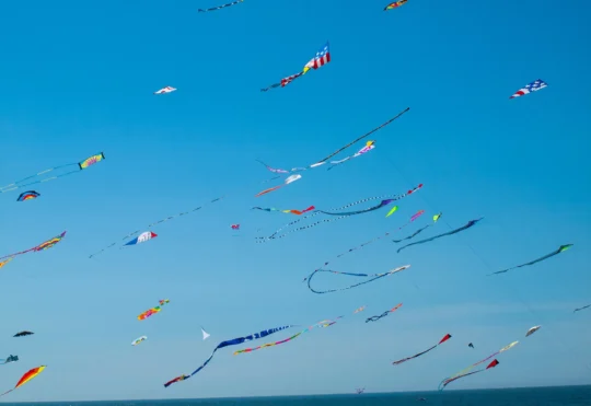 Thunder Bay Kite Festival returns