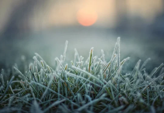 Frost advisory for most of N.B.