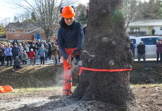 Boston Mayor helps send off annual Christmas tree present from Nova Scotia