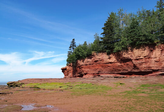 Human remains discovered on Bay of Fundy beach