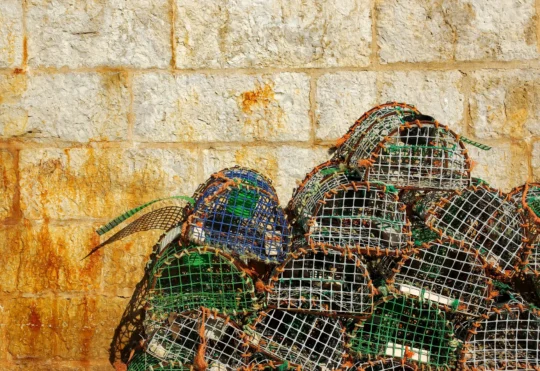 MFU encourages dialogue between DFO officials and inshore fishermen