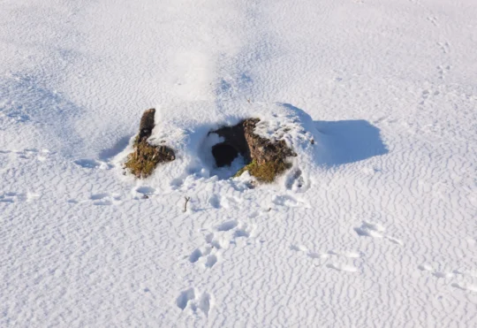 Snow and high winds for parts of N.S.