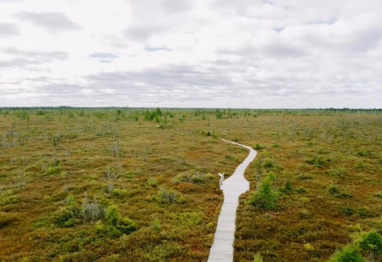 Wetland loss raising risks for Canadian communities