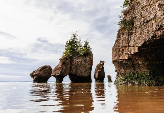 N.B. sees summer visitors from Ont., Que., and Maine