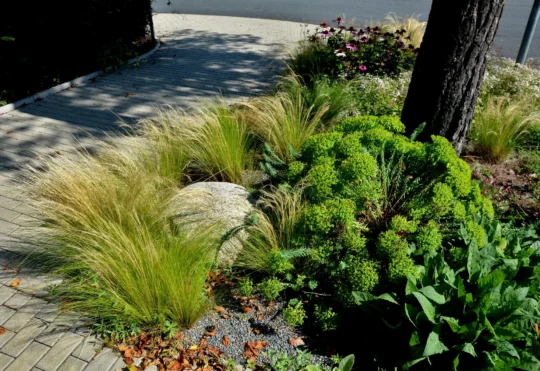 Thunder Bay launches boulevard garden declaration system