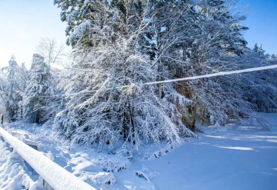 Some schools closed as tricky storm bringing a little of everything