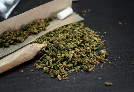 NB Liquor, Cannabis NB total sales down slightly