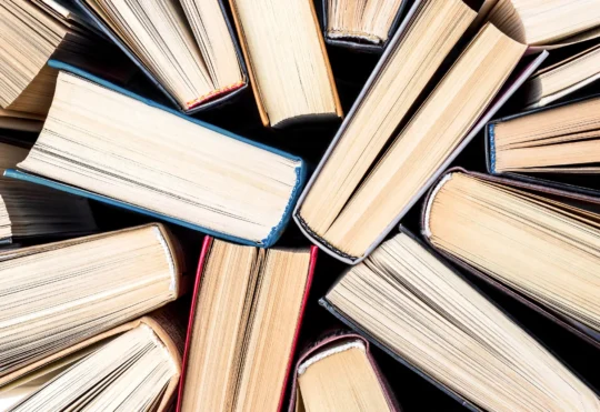 Thunder Bay: Libraries, Border Cats teaming up to host reading club
