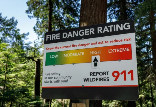 N.S. wildfire season on par with last year as officials investigate Austria Lake fire