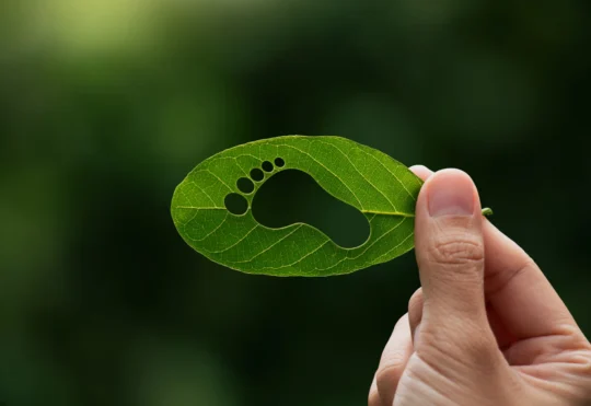 Moncton’s EnviroFest returns at Centennial Park
