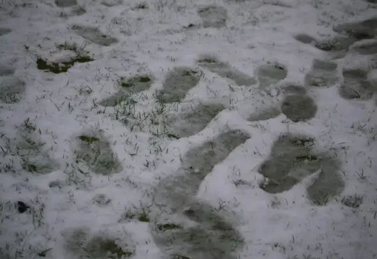 Parts of N.S. digging out after first snow of 2024 and storm coming Wednesday