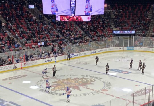 No 2025 Memorial Cup bid for Moncton Wildcats