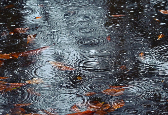 More heavy rain expected for Halifax, Guysborough counties