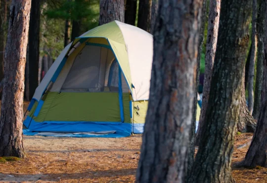 N.S. lifts woods ban in all counties except Annapolis