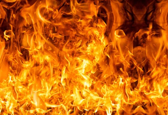 Man, two dogs found dead in fire in Bathurst home