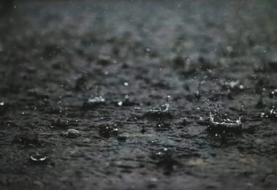 Up to 80mm of rain for parts of N.S., including Cape Breton