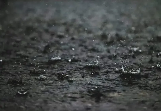 More wet and windy weather for Nova Scotia this weekend
