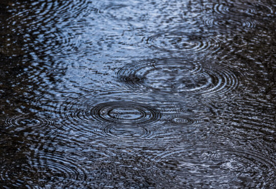Heavy rain and possible thunderstorms expected across Nova Scotia