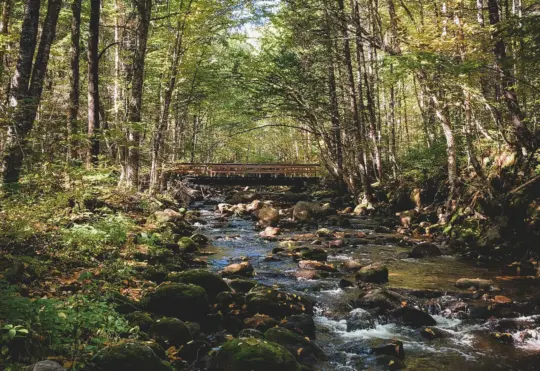 Environment Trust Fund applications being accepted