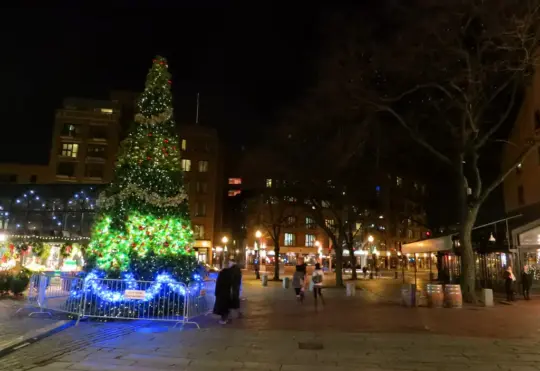 Christmas Tree for Boston coming from Stewiake