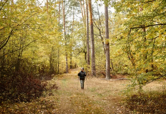 Volunteer group can no longer maintain popular walking trail in HRM