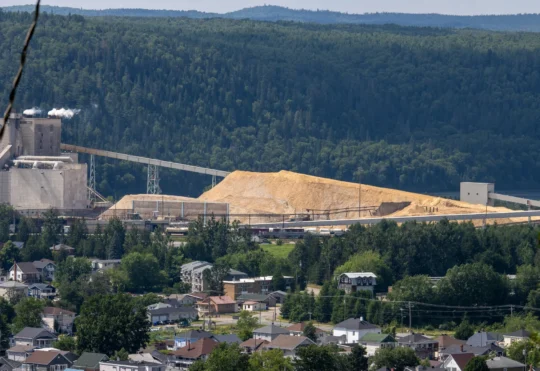 Halman says no timeline yet on Northern Pulp cleanup plan