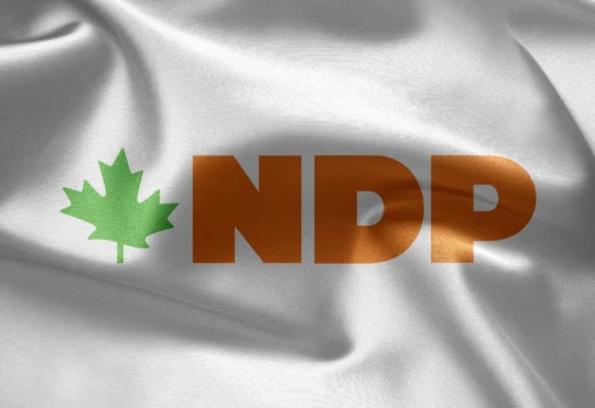 NDP urge help for forest sector amid new duties