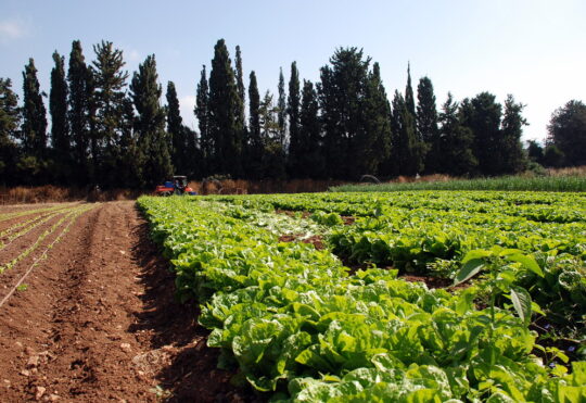 Farmers can still apply for income assistance through province after weather events – program deadline extended