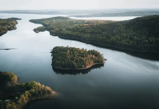 Conservation council responds to water strategy report