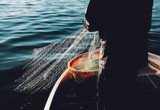 Saint John hosts 2023 Responsible Seafood Summit