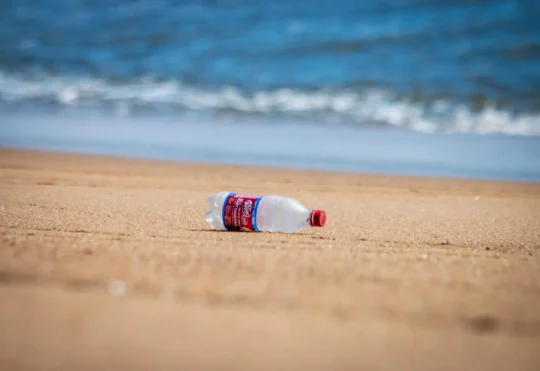Beach cleanup bingo back in Inverness Co.