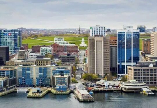 From one to many: The inspiring journey of the growing Bertossi Group