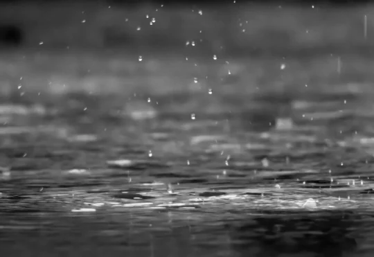 Heavy rain, strong winds arriving Friday night in N.S.
