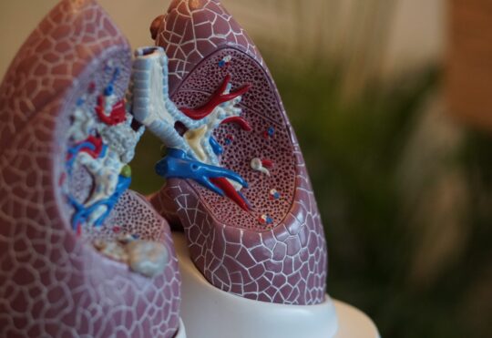 New Brunswick adds lung cancer screens to cancer screening program