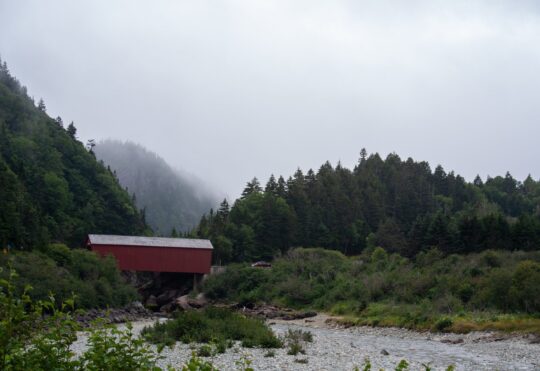 Fundy National Park wants you to have a say in the future of the park