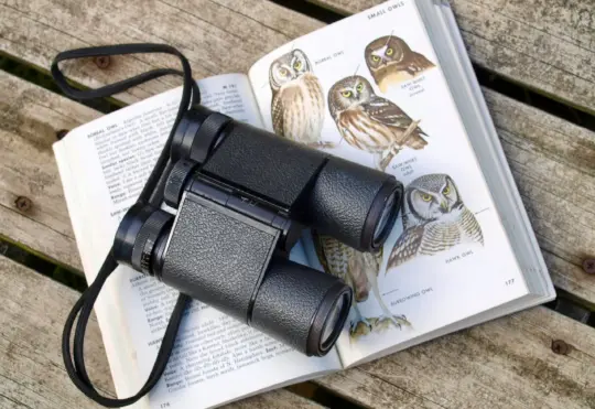 Great Backyard Bird Count starts Friday