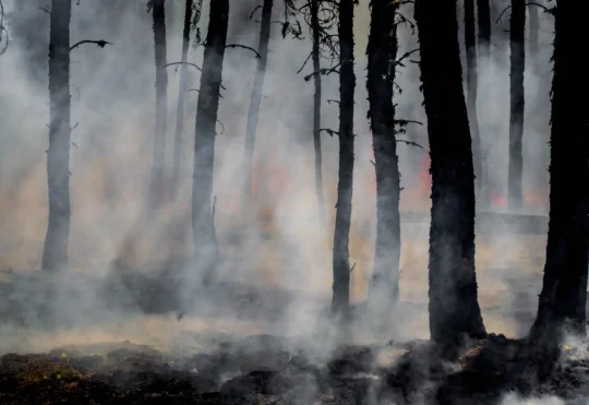 Forest fires continue to burn in New Brunswick