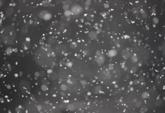 Snow squall watch in effect for Pictou and Antigonish Counties