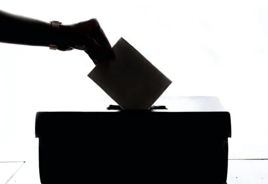 Elections Canada expands review of special ballot system