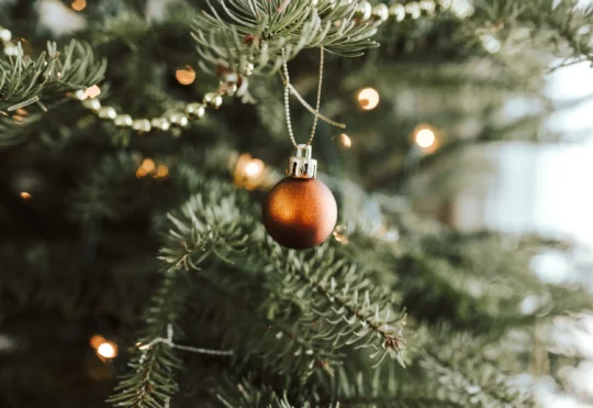 More tree lightings in Yarmouth County