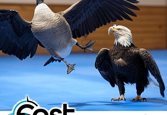 Tariff wars, Federal Election, Carney, what does it all mean for Atlantic Canadian businesses?