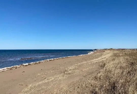 3 beaches in HRM have water quality advisory