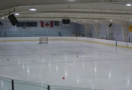 Al MacInnis Sports Centre to get new roof, upgrades